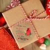 Christmas Red Bird Christmas Decorations for Tree Because Someone We Love is in Heaven Christmas Ornament 2022 Acrylic Hanging Ornaments Remembrance Sympathy Gifts view 4