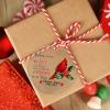 Christmas Red Bird Christmas Ornaments 2022 Because Someone We Love is in Heaven Ornament for Christmas Tree Decor Acrylic Personalized Christmas Ornaments Remembrance Sympathy Gifts view 4