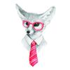 Cartoon Characters Fox Tie Glasses Adorable Girls Boys Gift Home Dcor Birthday - 15 Inch x 30 Inch view 1