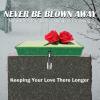 Never Blown Away! 2 Sets Cemetery Saddles for Grave Headstone, fit on Gravestone Extra Wide 6 to 12 Inches, Reusable Monument Decor Saddle,for Graveyard Tombstone for Veterans Gravesite (Patented) view 2