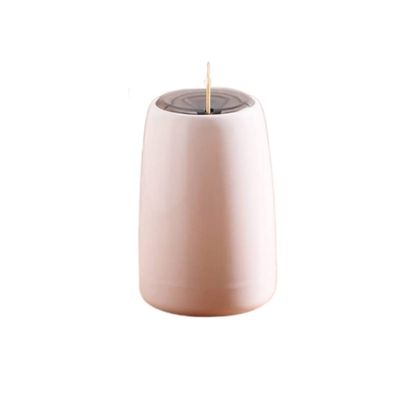 Toothpick Holders Toothpick Holder Dispenser household personalized creative press-type toothpick holder automatically pops up the toothpick jar Toothpick Dispenser (Color : C2pc)