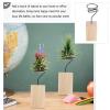HANABASS 5pcs Decorative Air Plant Stand Holder Rack for Tabletop Display for Home Office Wedding Decor Gardening Stylish Convenient Air Plant Wood Holder view 4