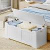 Hzuaneri 39.4" Storage Chest, Storage Bench Trunk with 2 Hinges, Wooden Box, Lift-Top Chest Organizer, Shoe Bench for Entryway, Bedroom, Living Room, White 01003XSB view 2