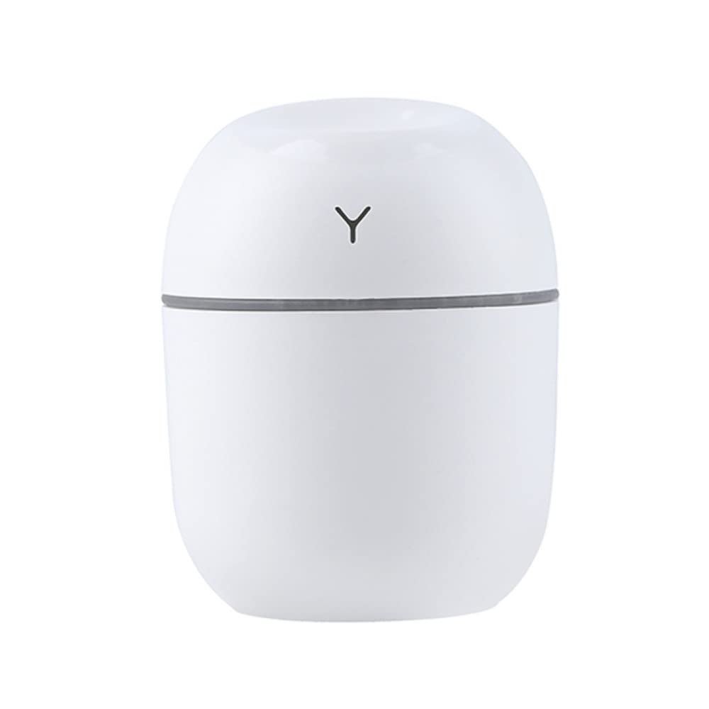 REJOON humidifier 220ml Mini Air Humidifier Diffuser Home Appliance for Bedroom Home Car Plants Essential Oil Purifier Cool Mist Humidifier Green (Color : White)