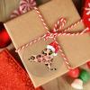New York Christmas Ornaments Leopard Print Map Christmas Hat Christmas Tree Ornaments Home State Personalized Christmas Ornaments 2022 City Souvenir Christmas Keepsake Xchange Long Distance Gift view 4
