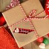 Tennessee Christmas Ornaments Buffalo Plaid Map Cute Santa Ornament for Christmas Tree Decor Home State Personalized Christmas Ornaments 2022 City Souvenir Christmas Keepsake Xchange Gift view 4