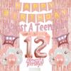 12th Birthday Decorations Rose Gold for Girls Women, Sweet 12th Foil Balloon Birthday Decoration Almost A Teenager Banner Tinsel Curtain Balloon Happy Birthday Sash Cake Topper Birthday Decoration Kit view 1