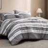 Bedsure Queen Comforter Set 7 Pieces, Frost Grey Striped Bedding Set for All Seasons, Reversible, Cationic Dyeing Bed in a Bag with Comforter, Sheets, Pillowcases & Shams view 1