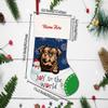 MALIIHONG Joy to The Wrold Dog Christmas Stocking Funny Australian Shepherd Dog Snowman Snowflake Custom Name Candy Gift Bags Fireplace Holiday Hanging Decor Stocking 14.4" view 2