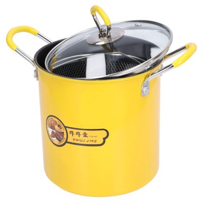 3L Deep Fryer Pot, Stainless Steel Japanese Frying Pot with Oil Filter Fil & Lid for Home Kitchen, Mini Deep Frying Pan with Nonslip Handle for Most Stove, Heat Insulation