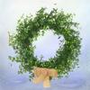 Abaodam Ribbon Beautiful Rattan Leaf Supplies Decoration Four for Window Artificial Clover Farmhouse Shamrock Indoor Natural Garland Green Linen Hanging Wedding Decor Restaurant Vines view 4