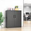 AFAIF Metal Storage Cabinet, 2 Doors Garage Cabinets, Steel Utility Tool Caninet, Short Locking Caninets with Adjustable Shelves, Black Lockable File Cabnet Cupboard for Home/Office/School/Shop view 2