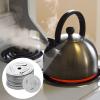 UPKOCH 30pcs Whistling Kettle Sound Piece Kit Replacement Accessories for Teapots Easy Installation for Home Office Shop Use view 2