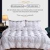 ZTGL Pinch Pleat Goose Feathers Down Duvet 95% Down Extra Warmth 100% Cotton Shell Luxury Full/Queen Size Quilt Comforter, Super Soft, Warm and Breathability,White,180x220cm/2.5kg view 2