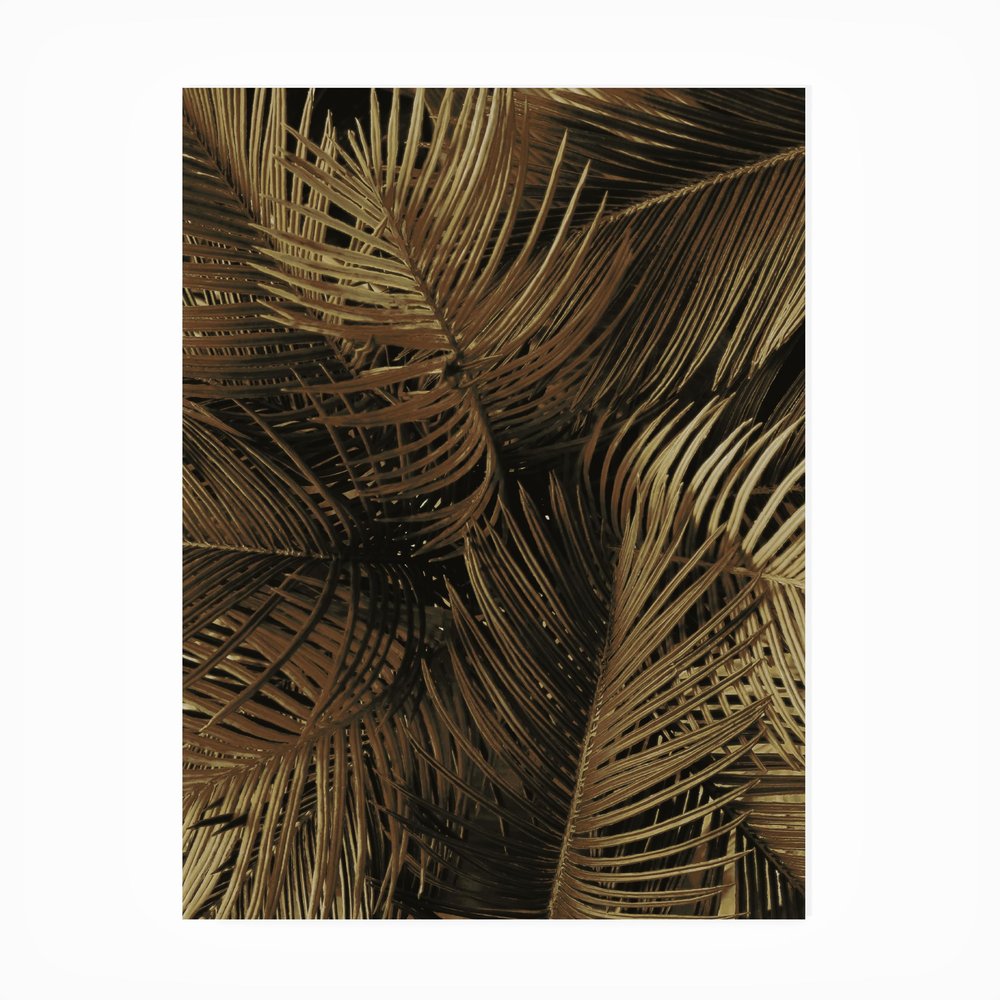 Trademark Fine Art ' Golden Palm 2 Fabrikken ' Outdoor Canvas by Design Fabrikken