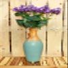 20" Purple Lilac Bush view 2