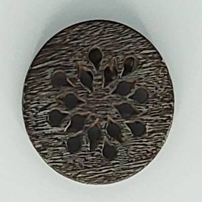 1 Dentel vanilla magnet