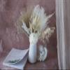 White Series Pampas Grass Bouquet, Dried Flower Bouquet, Vase Filler, Natural Flower dcor, Flower Arrangement, Small Centerpiece, Office Table Dcor( Without vase) midium Size view 2