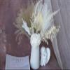 White Series Pampas Grass Bouquet, Dried Flower Bouquet, Vase Filler, Natural Flower dcor, Flower Arrangement, Small Centerpiece, Office Table Dcor( Without vase) midium Size view 4