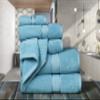Ample Decor Towels for Bathroom, 6 Pieces Gift Set,100% Cotton Soft Quick Dry, 2 Bath Towels, 2 Hand Towels, 2 Wash Cloths - for Hotel, Spa, Gym - Sky Blue view 2