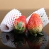 1200 Pcs Fruit Foam Covers Shock-Proof Protective Cover Foam Net Strawberries Sleeves Mesh Bags for, Pears, Oranges view 2
