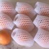 1200 Pcs Fruit Foam Covers Shock-Proof Protective Cover Foam Net Strawberries Sleeves Mesh Bags for, Pears, Oranges view 3
