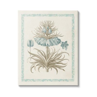 Stupell Industries Vintage Detailed Flower Study Canvas Wall Art, Design by Vision Studio
