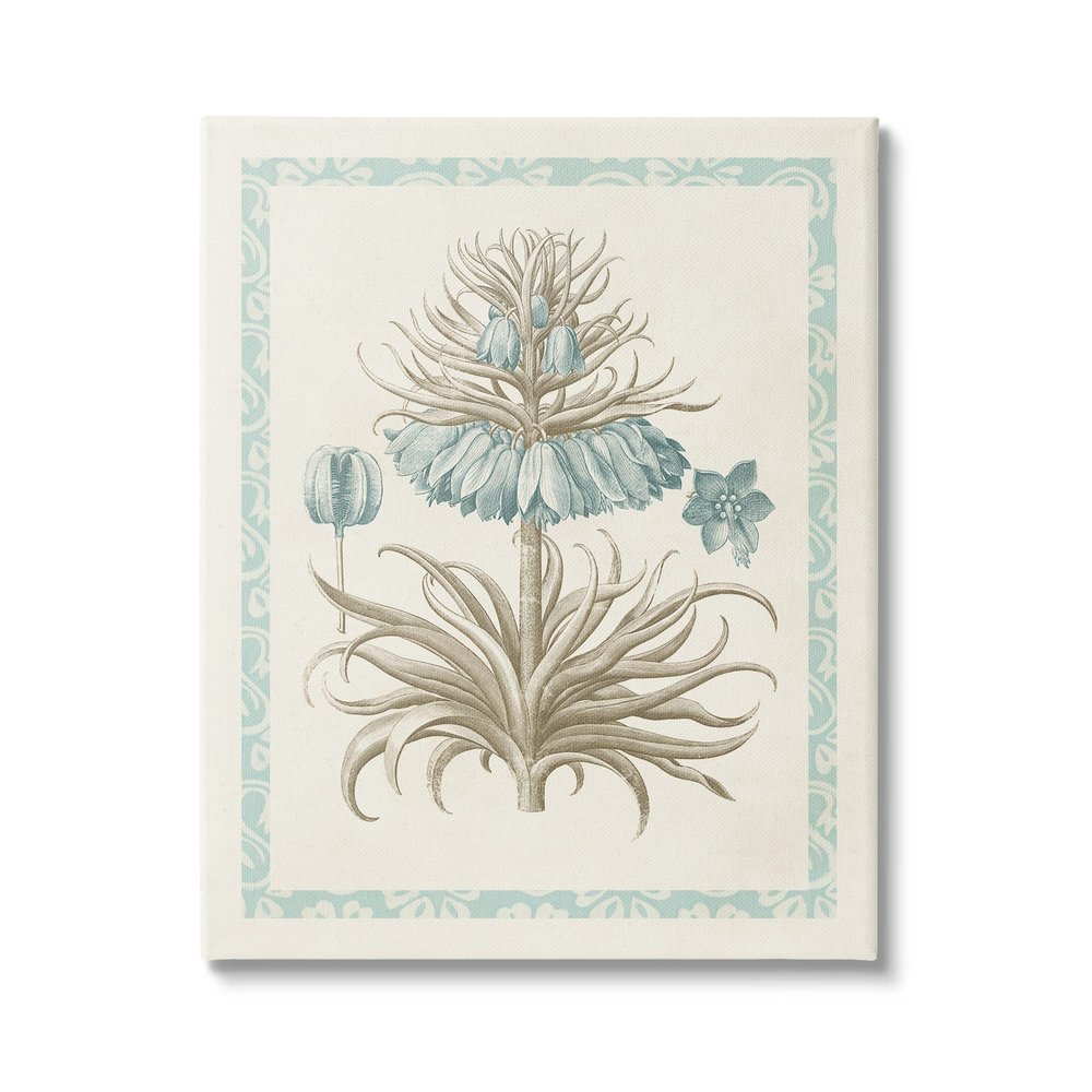 Stupell Industries Vintage Detailed Flower Study Canvas Wall Art, Design by Vision Studio