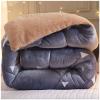 ZTGL Super Soft Plush Weighted Blanket in Winter, Lamb Velvet and Flannel Velvet Double Heavy Warm Fabrics, Hygroscopic Breathable Fleece Double Sided Thickened Warm Quilt,C,220X240cm/4.7kg view 2