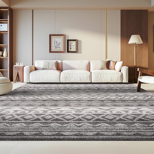 SAFAVIEH Area Rug 8x10 - Adirondack Collection - Large - Ivory & Charcoal, Moroccan Boho Distressed Design, Non-Shedding & Easy Cleaning, Ideal for Living Room, Bedroom, Dining Space (ADRL119N)