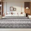 SAFAVIEH Area Rug 8x10 - Adirondack Collection - Large - Ivory & Charcoal, Moroccan Boho Distressed Design, Non-Shedding & Easy Cleaning, Ideal for Living Room, Bedroom, Dining Space (ADRL119N) view 1