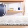 SAFAVIEH Area Rug 8x10 - Astoria Collection - Large - Grey & Ivory, Geometric Boho Design, Non-Shedding & Easy Cleaning, Ideal for Living Room, Bedroom, Office, Dining Space (ASA412F) view 4