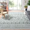 SAFAVIEH Area Rug 8x10 - Augustine Collection - Large - Green & Ivory, Cotton Moroccan Boho Tribal Fringe Design, Easy Cleaning, Ideal for Living Room, Bedroom, Office, Dining Space (AGT849Y) view 1