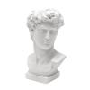 Aynaxcol David Statue Greek Head Vase Bust Face Vase Head Retro Decor, Sculpture Brush Holder Bust, Makeup Brushes Container Pen Holder, 25CM view 2