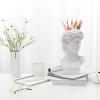 Aynaxcol David Statue Greek Head Vase Bust Face Vase Head Retro Decor, Sculpture Brush Holder Bust, Makeup Brushes Container Pen Holder, 25CM view 4
