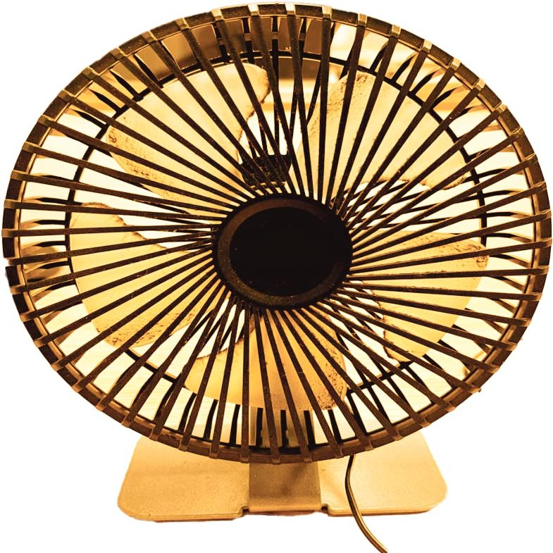 RIYA Fan - 01