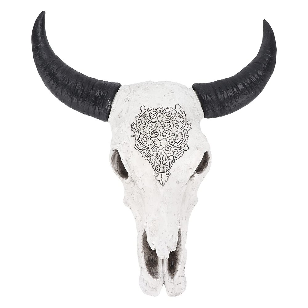 Alvinlite Resin Wall Sculptures Longhorn Wall Decor White Hanging Longhor Skull Head for Western Room Decor