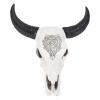 Alvinlite Resin Wall Sculptures Longhorn Wall Decor White Hanging Longhor Skull Head for Western Room Decor view 1