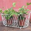 Two's Company French Wireworks Alfabia Double Planter Basket w/Antique White Finish view 4