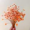 200 Stems Natural Dried Flowers Brazilian Small Star Daisy Dried Decorative Mini Chamomile Bouquet for Wedding Floral Arrangements Home Decorations Valentine's Day Gifts (Orange) view 1