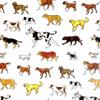 Decorative Toilet Paper Covers, 9 Paper Wraps, 3 of Each of The Designs, Fits Any Size Toilet Paper Roll (Pattern: Man's Best Friend) view 4