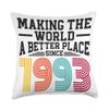 30 Birthday Making the world a better place since 1993 Throw Pillow view 1
