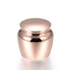 BIAIHQIE Pet Dog Cat Ash Urn Jewelry Funeral Casket Urn Polish Stainless Steel Cremation Ashes Keepsake Urn view 1