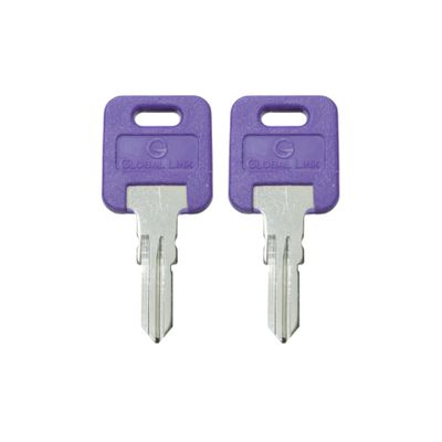 TricaStore G309 Two Keys Precut Keys