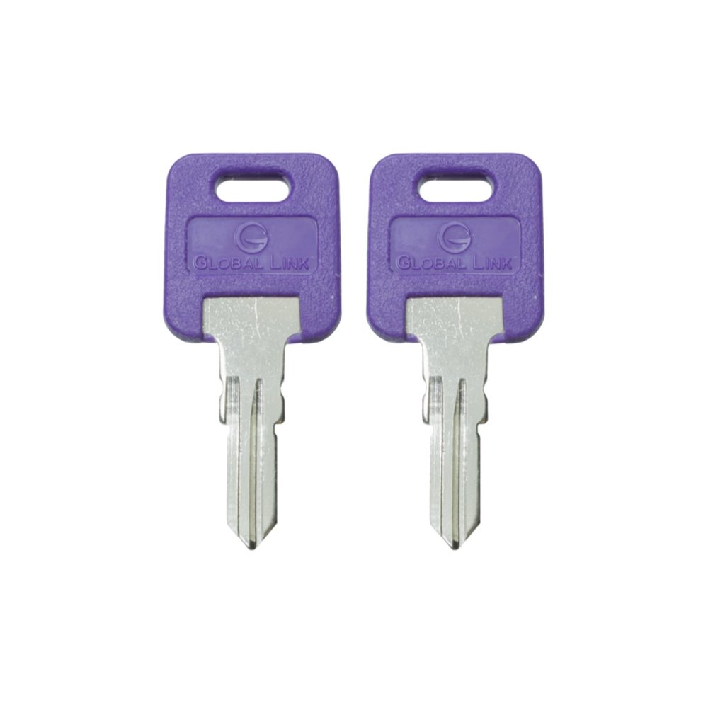 TricaStore G309 Two Keys Precut Keys