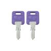 TricaStore G309 Two Keys Precut Keys view 1