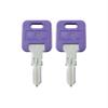 TricaStore G309 Two Keys Precut Keys view 2