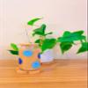 Iced Coffee Glass Cup with Bamboo Lid and Straw | 16oz Beer Can Glass | beer glass Cup | Can Shaped Glass Soda Can Cup | Smiley face bleu Glass Cup, Beer Glass Can, Glass Coffee Cup view 1
