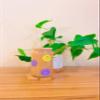 Iced Coffee Glass Cup with Bamboo Lid and Straw | 16oz Beer Can Glass | beer glass Cup | Can Shaped Glass Soda Can Cup | Smiley purple and yellow Glass Cup, Beer Glass Can, Glass Coffee Cup view 1