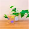 Iced Coffee Glass Cup with Bamboo Lid and Straw | 16oz Beer Can Glass | beer glass Cup | Can Shaped Glass Soda Can Cup | Smiley purple and yellow Glass Cup, Beer Glass Can, Glass Coffee Cup view 3